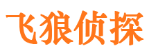 陈仓外遇调查取证